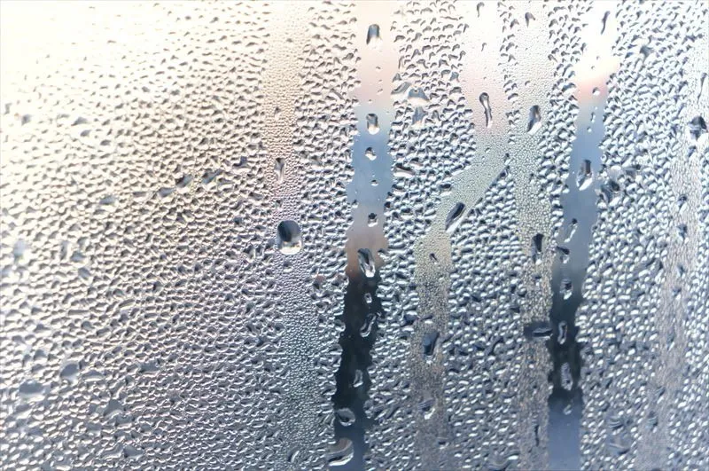 カビの防止について