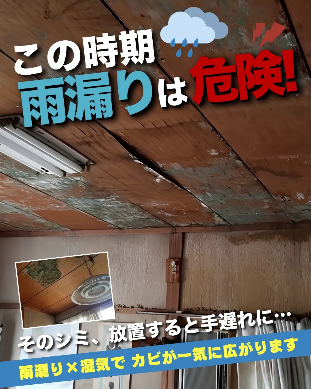 ⚠️手遅れになるかもしれません！！⚠️